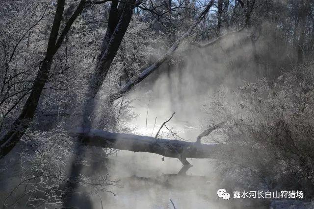 lol玩两天统治战场 就给封3年为什么。。。游戏画面
