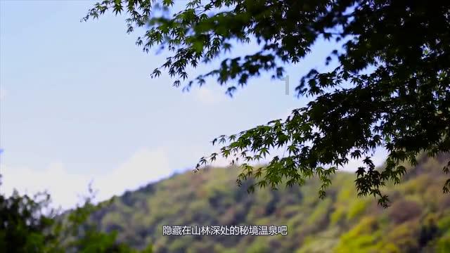 特别容易胖是什么原因?易胖体质真的有吗?——机智问答网页,快速解答你的疑问