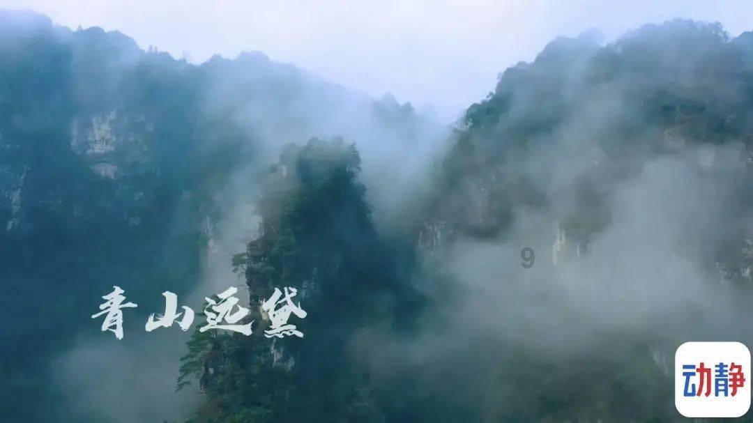 探寻老师劝孩子退班合理嘛?可退了班学籍退不下来。我该怎么办-尽享知识星球平台的独特魅力