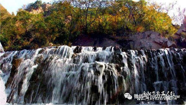 黑道圣徒4